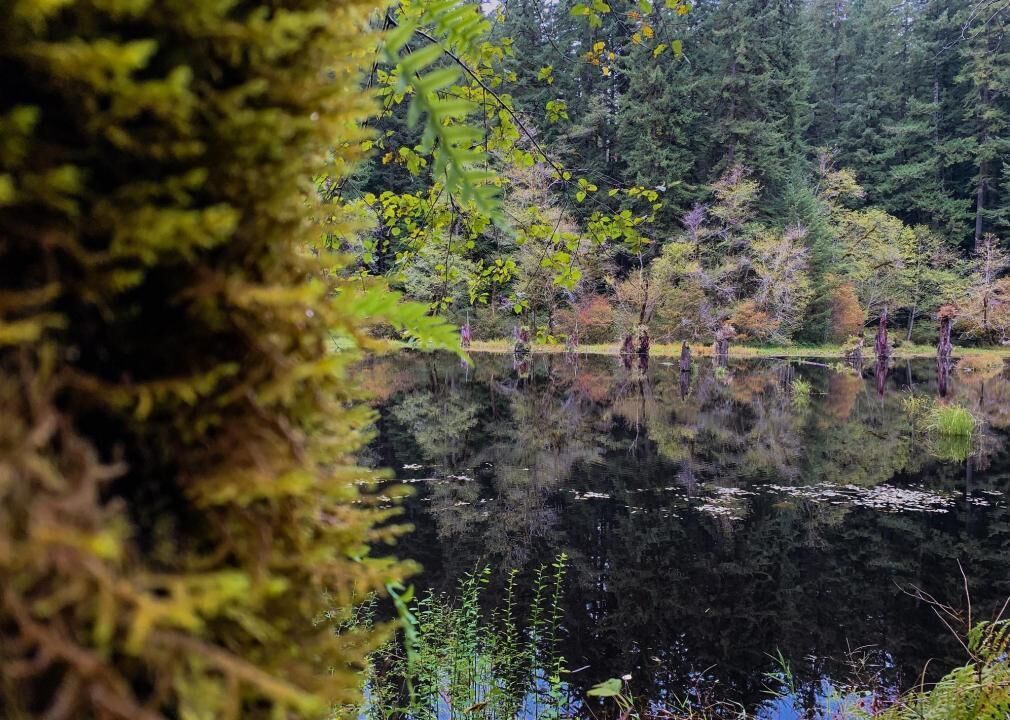 #22. Oregon